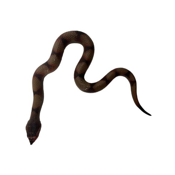 Realistic Fake Snakes Toy, 2 pcs Soft Rubber Fake snakes Garden Snake Props - Picture 9 of 14